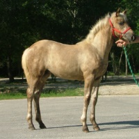 10Pic25NellieJune292007200