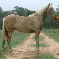 29Pic16MindyNov242011200