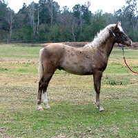 33Pic4RangerDec32011200