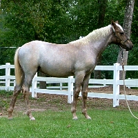 3Pic9BonnieOct72006200