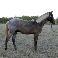 74Pic9GunnerJan252020200
