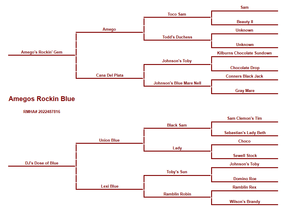 Amego's Pedigree