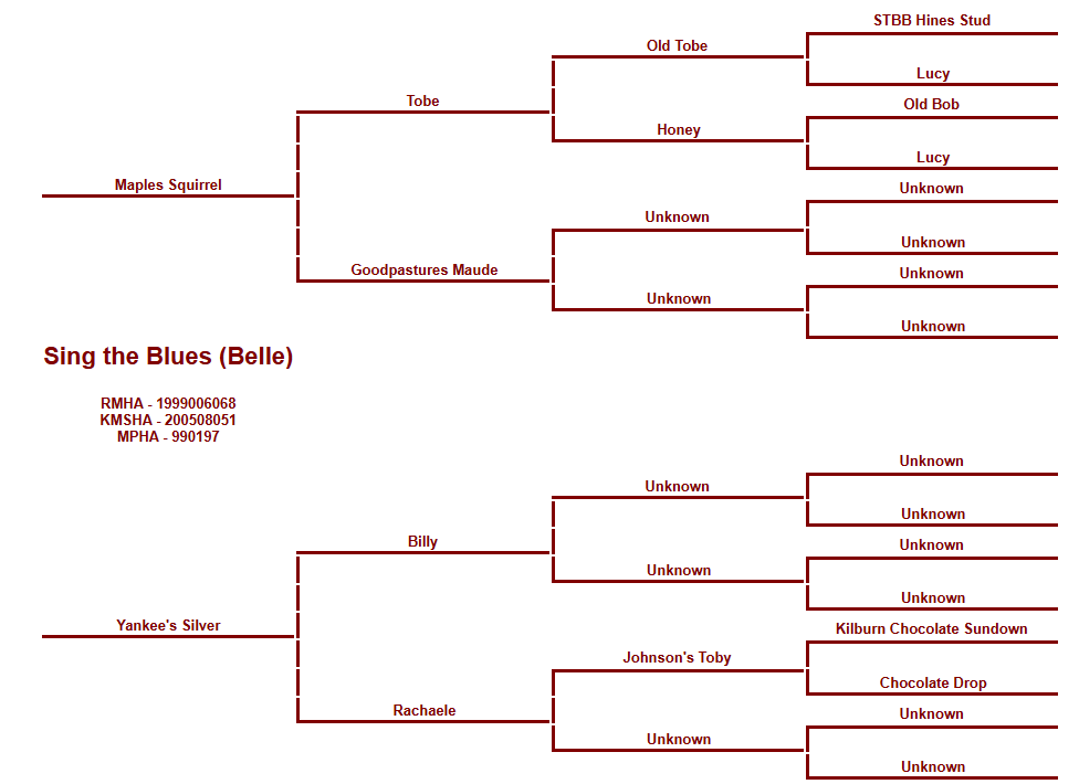 Belle Pedigree