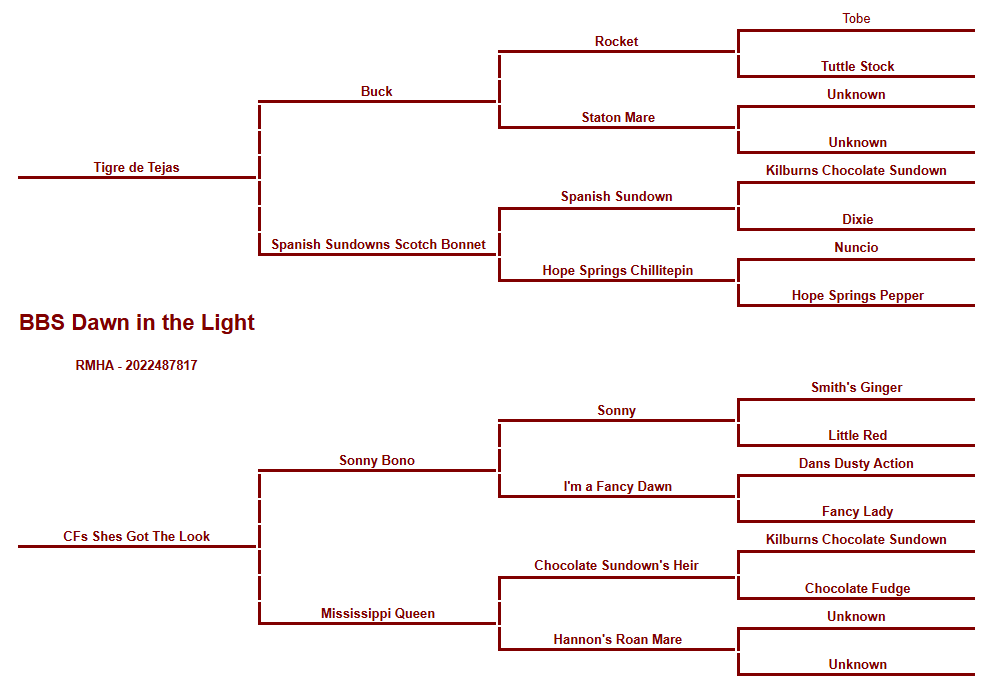 Dawn Pedigree