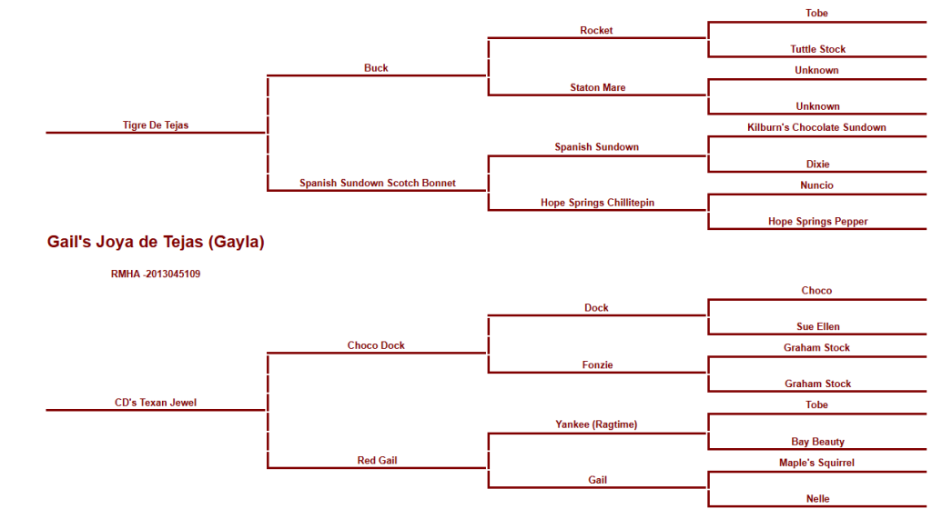 Gayla Pedigree