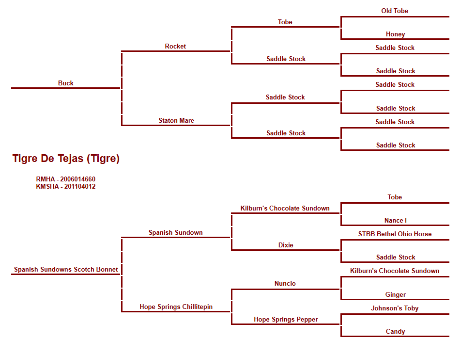 Tigre's Pedigree